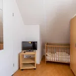 De Toogkrabbe 50 Meter Van Het Strand